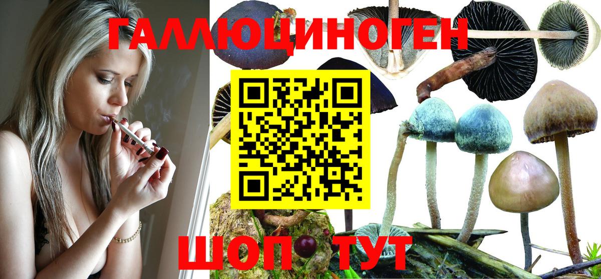 Псилоцибиновые грибы MAGIC MUSHROOMS Ахтубинск