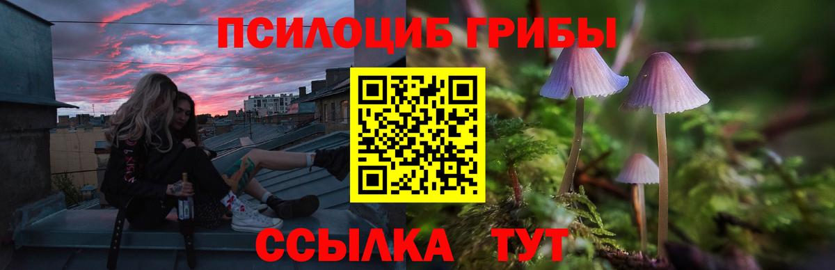 Псилоцибиновые грибы Psilocybine cubensis  Вход с VPN  Ахтубинск 